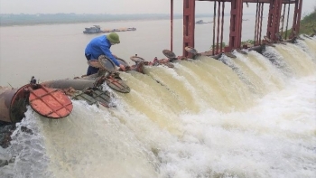 Hải Dương đã đổ ải được 42.035 ha gieo cấy