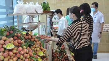 Hải Dương tiếp tục thúc đẩy phát triển sản xuất, kinh doanh