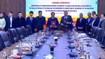 Việt Nam hướng tới việc tích hợp đa giá trị trong các sản phẩm nông nghiệp