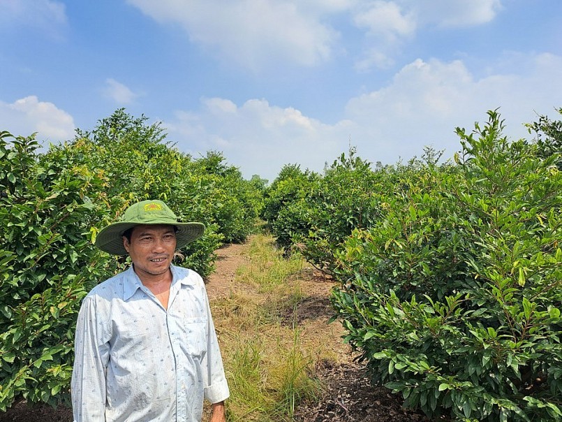 Anh Dương Đức Xuyên bên vườn mai của mình.