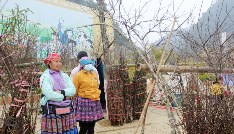 Những cành đào được xếp gọn gàng, thuận tiện cho vận chuyển