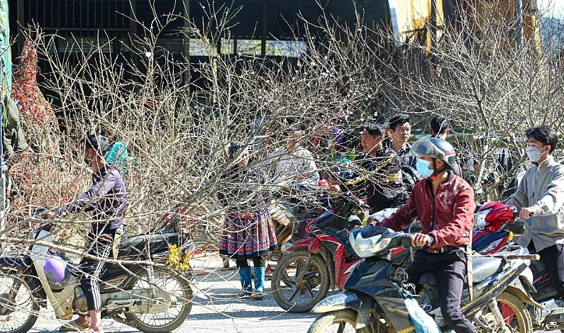 Người dân ở vùng cao có thêm thu nhập từ bán đào Tết.