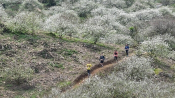 Mách bạn 5 điểm du lịch lý tưởng gần Hà Nội cho kỳ nghỉ Tết, chi phí lại cực “mềm”