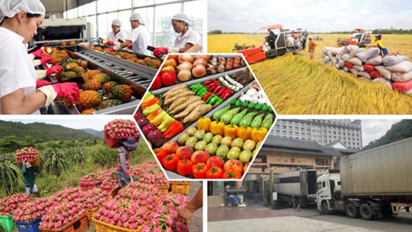 Trung Quốc vẫn là thị trường xuất khẩu nông sản lớn nhất của Việt Nam