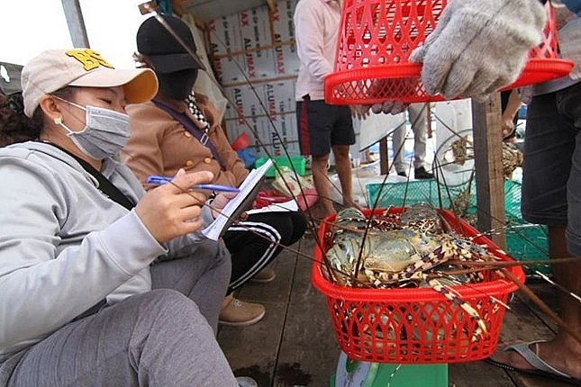 nhiều hộ bán được giá vui mừng. nhiều hộ bán được giá vui mừng.