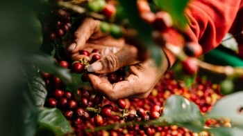 Mặt hàng cà phê của Việt Nam đang bước sang một trang sử mới