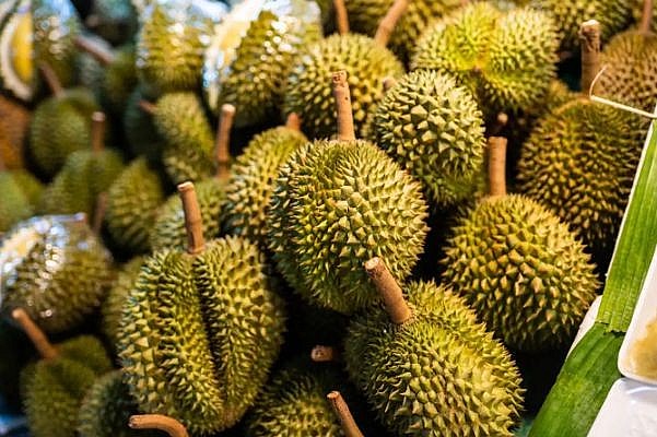 sầu riêng là mặt hàng vào EUsẽ chịu giám sát cửa khẩu