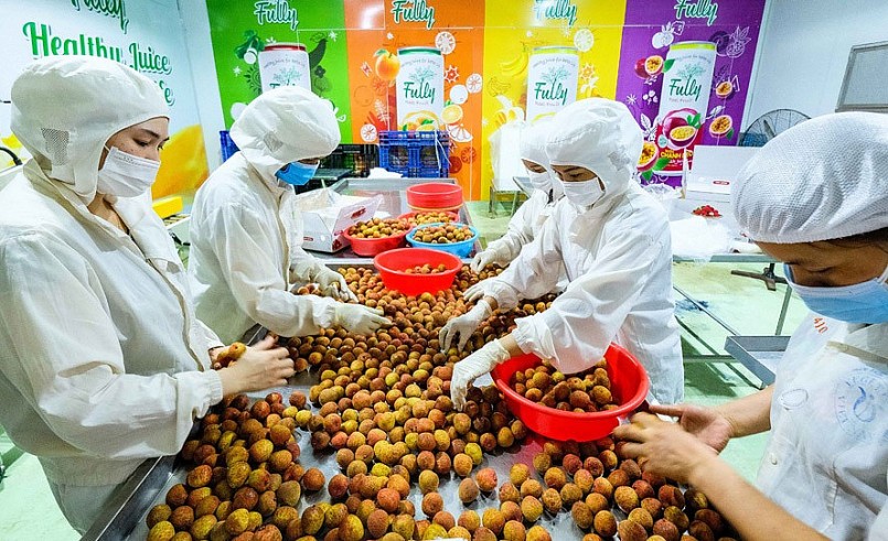 Doanh nghiệp xuất khẩu cần thường xuyên theo dõi những quy định mới của EU về MRL.