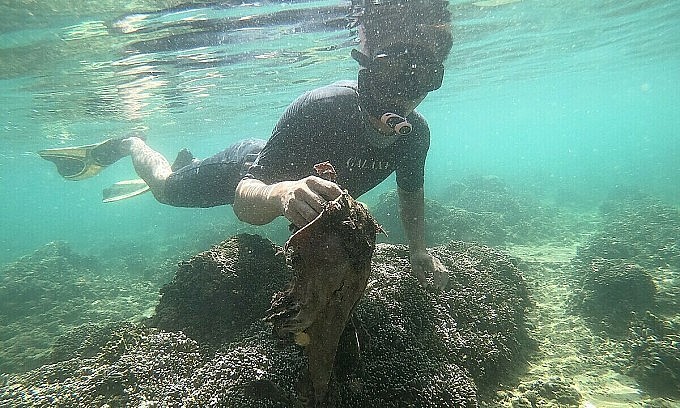 Ngành chức năng dọn rác dưới đáy biển để bảo vệ san hô. Ảnh: Nhân Bùi