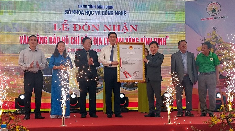 Đại diện Cục Sở hữu trí tuệ trao Văn bằng chỉ dẫn địa lý mai vàng Bình Định cho ông Lâm Hải Giang, Phó Chủ tịch UBND tỉnh Bình Định.