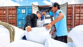 Tình trạng thiếu gạo trên toàn cầu sẽ tồi tệ hơn, cơ hội của Việt Nam?