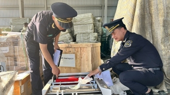 Ngành Hải quan phát hiện, bắt giữ và xử lý 1.253 vụ việc vi phạm pháp luật trong tháng 1