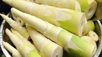 Măng - thực phẩm "vô bổ" hóa ra lại có nhiều lợi ích bất ngờ