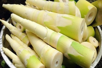 Măng - thực phẩm "vô bổ" hóa ra lại có nhiều lợi ích bất ngờ