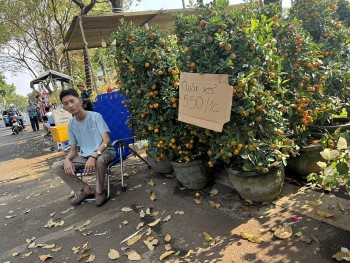 Đắk Lắk: Tiểu thương giảm giá hoa xuân, người mua lác đác