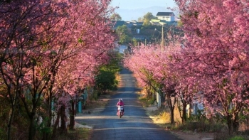 Điểm đến hấp dẫn cho hành trình du lịch ngày Tết