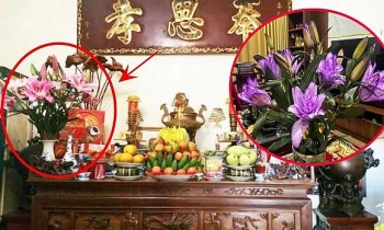 Ngày Tết có nên cắm hoa ly trên bàn thờ?