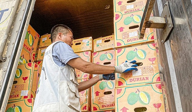 Công nhân vận chuyển nông sản lên các xe container trước khi xuất khẩu sang Trung Quốc tại khu vực cửa khẩu Tân Thanh, tỉnh Lạng Sơn - Ảnh: HÀ QUÂN Công nhân vận chuyển nông sản lên các xe container trước khi xuất khẩu sang Trung Quốc tại khu vực cửa khẩu Tân Thanh, tỉnh Lạng Sơn - Ảnh: HÀ QUÂN