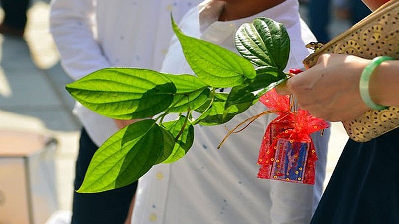 Hái lộc đầu xuân là nét đẹp trong văn hóa của người dân Việt Nam.