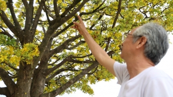 Bình Định: Người đàn ông bỏ "báu vật" tiền tỷ trước nhà để người dân sống ảo trong dịp Tết Giáp Thìn