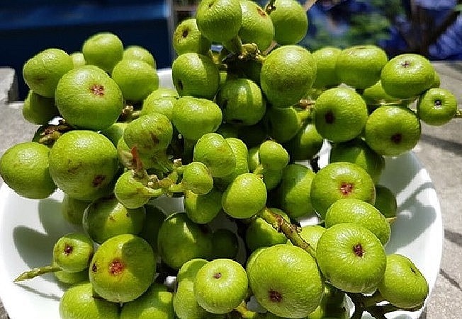 Tên gọi của quả sung mang ý nghĩa sung túc.