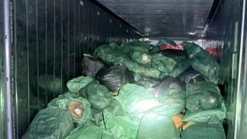 Lào Cai: Phát hiện hơn 14 tấn thực phẩm đông lạnh không rõ nguồn gốc xuất xứ