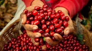 Những dấu ấn của Ngành Nông nghiệp trong năm 2023