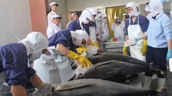 Trung Đông chiếm 10% kim ngạch xuất khẩu cá ngừ Việt Nam