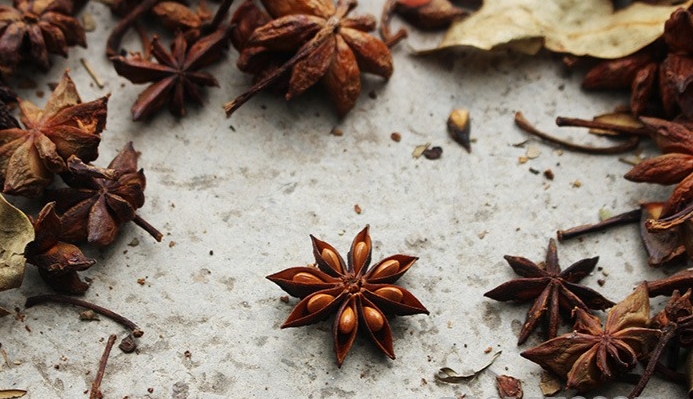 Hồi tươi sau khi thu hoạch đem phơi khô từ 4-5 ngày nắng sẽ đem lại giá trị kinh tế cao.