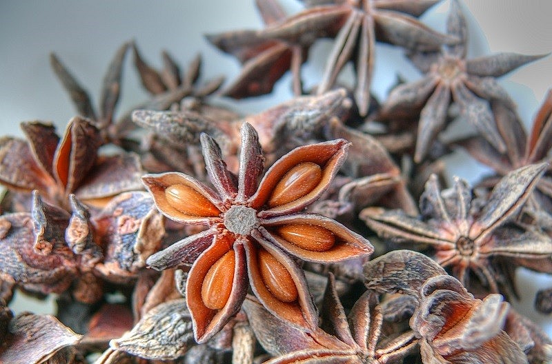 Hoa hồi có 6-8 cánh, xếp thành hình cánh sao.