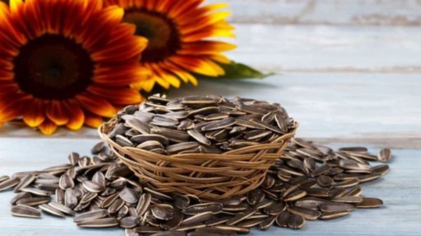 Vì sao hạt hướng dương được coi là "siêu thực phẩm" cho người mắc tiểu đường?