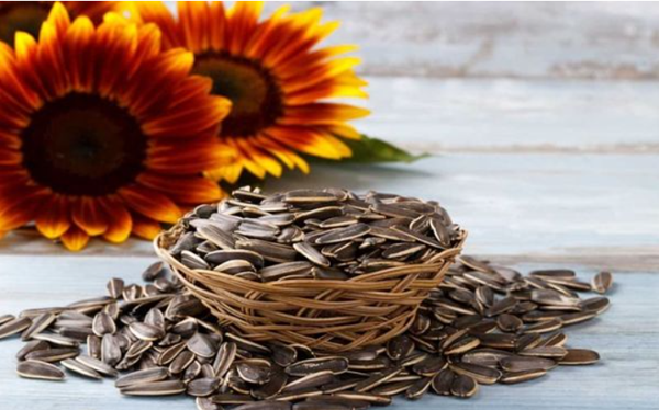 Vì sao hạt hướng dương được coi là "siêu thực phẩm" cho người mắc tiểu đường?