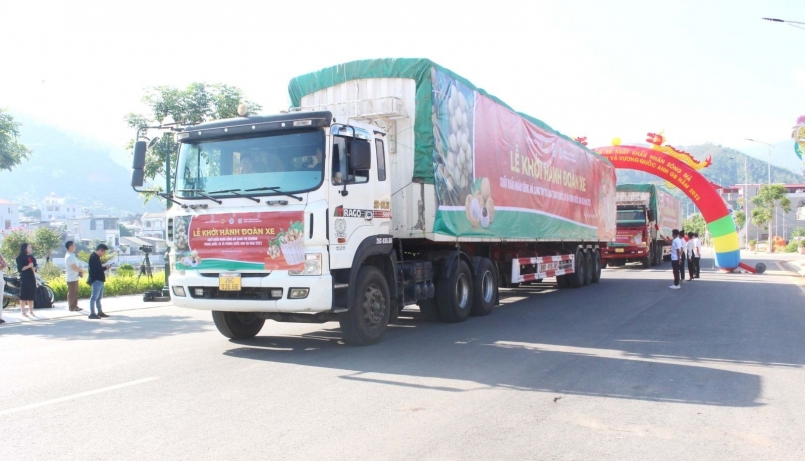 Khởi hành xuất khẩu nhãn sang thị trường Trung Quốc, EU và Vương Quốc Anh GB năm 2023. Khởi hành xuất khẩu nhãn sang thị trường Trung Quốc, EU và Vương Quốc Anh GB năm 2023.