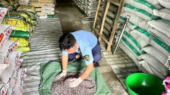 Kiên Giang: Xử phạt 141 triệu đồng cơ sở kinh doanh phân bón không đạt chất lượng