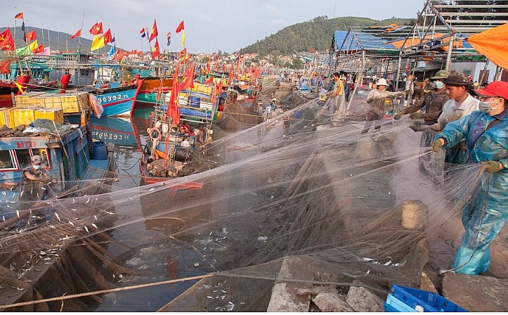 Tàu của ngư dân phường Quỳnh Phương liên tiếp trúng những mẻ cá trích lớn. Ảnh: Thanh Thuỷ