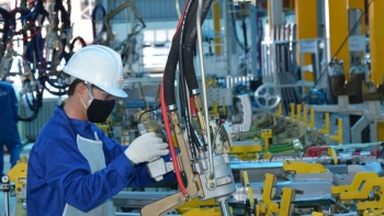 Những mảng màu tươi sáng của kinh việt Nam đầu năm mới