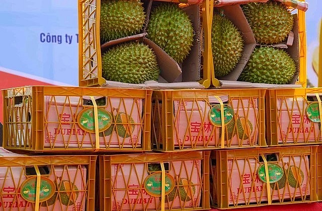 Xuất khẩu nông - lâm - thủy sản tăng gần gấp đôi trong tháng đầu tiên của năm 2024. 