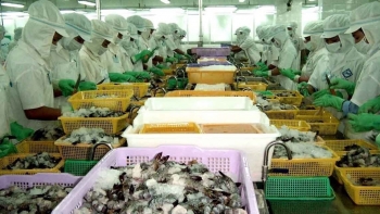 Xuất khẩu thủy sản tăng mạnh tháng đầu năm, mở ra nhiều kỳ vọng cho năm mới