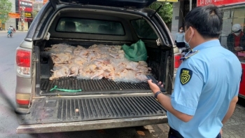 Long An phát hiện phương tiện vận chuyển 120kg sản phẩm gia cầm không rõ nguồn gốc