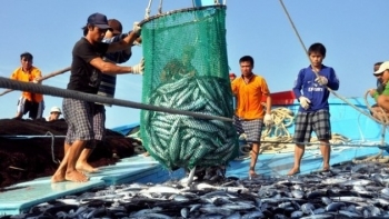 Phê duyệt Chương trình quốc gia bảo vệ và phát triển nguồn lợi thủy sản đến năm 2030