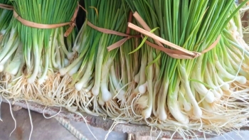 Hành tăm - Món quà quý cho sức khỏe