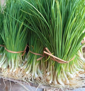 Hành tăm - Món quà quý cho sức khỏe