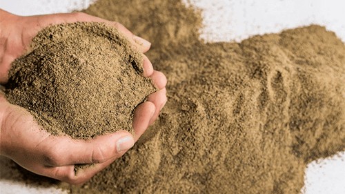 Việt Nam cung cấp 262 nghìn tấn bột cá cho Trung Quốc