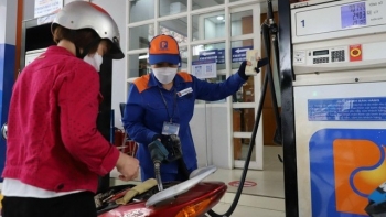Giá xăng dầu đồng loạt giảm nhẹ