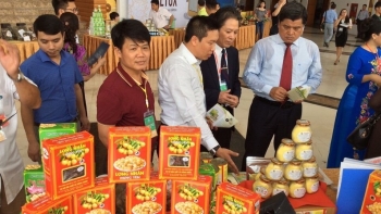 Hưng Yên tập trung xây dựng chuỗi liên kết tiêu thụ sản phẩm OCOP