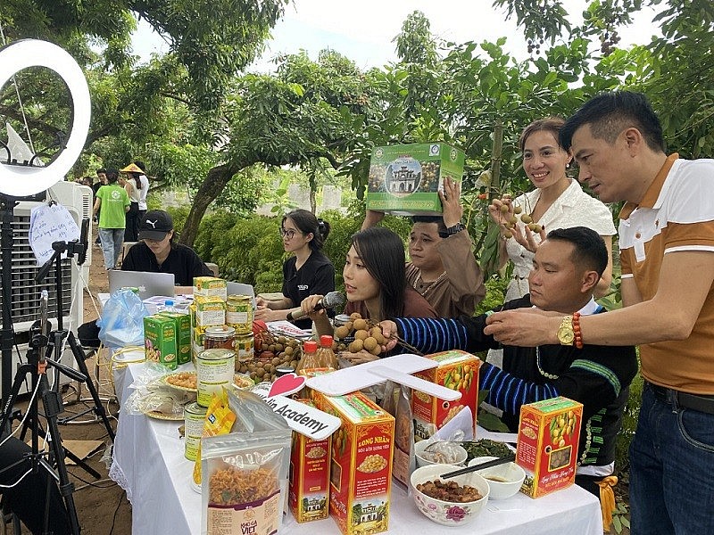 Hưng Yên tập trung xây dựng chuỗi liên kết tiêu thụ sản phẩm OCOP