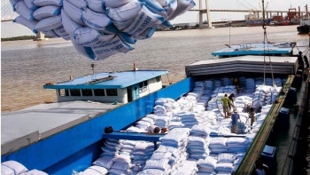 Các sản phẩm nông nghiệp tăng tốc xuất khẩu, hứa hẹn tạo đột phá lớn trong năm mới