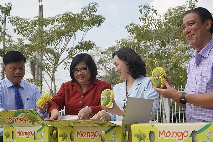 Lãnh đạo tỉnh, huyện cùng các đơn vị kiểm tra xoài trước khi đưa lên xe. Ảnh: Ngọc Tài Lãnh đạo tỉnh, huyện cùng các đơn vị kiểm tra xoài trước khi đưa lên xe. Ảnh: Ngọc Tài