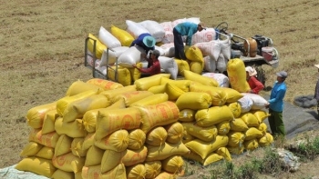 Việt Nam nắm giữ nguồn xuất khẩu gạo thứ 3 của thế giới: Cơ hội lớn để ngành lúa gạo "chuyển mình"