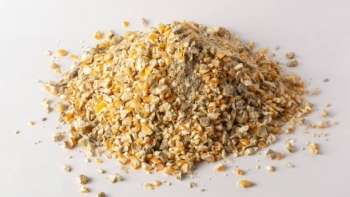 Người nuôi lợn cần quan tâm gì khi chọn nguồn cung cấp thức ăn cho vật nuôi